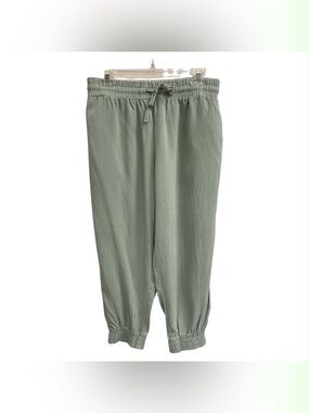 cloth & stone sage green relaxed jogger pants Size 2X
